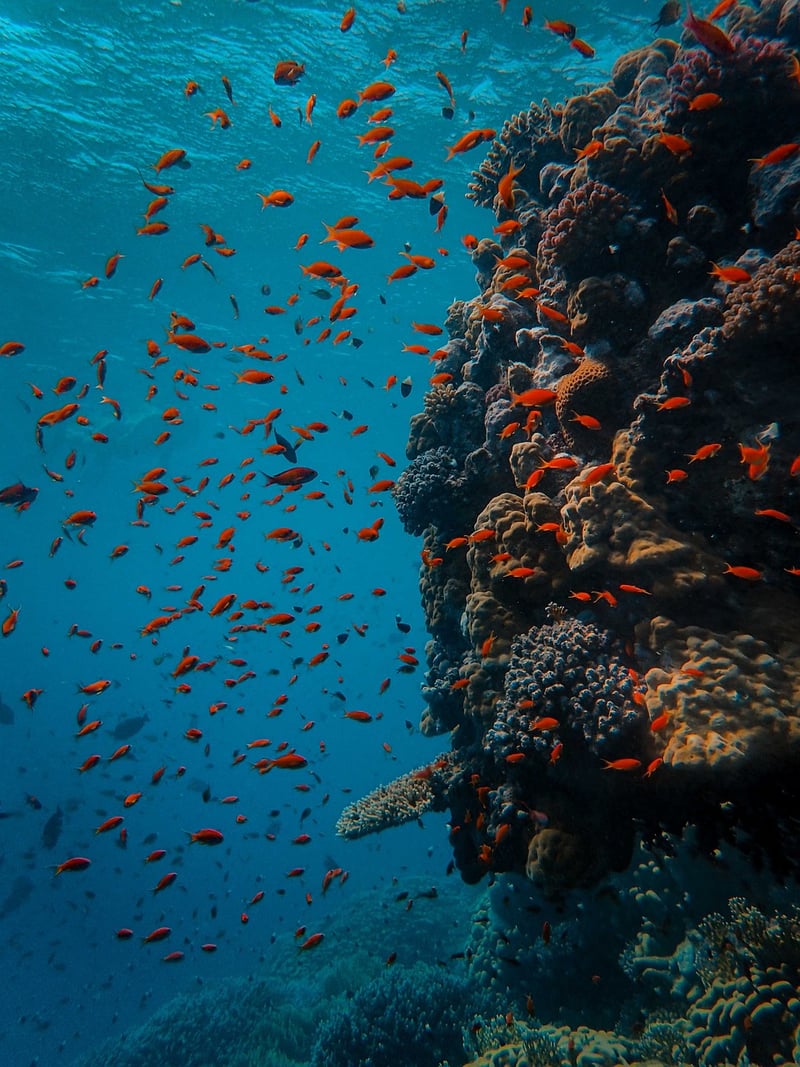 Underwater Exploration